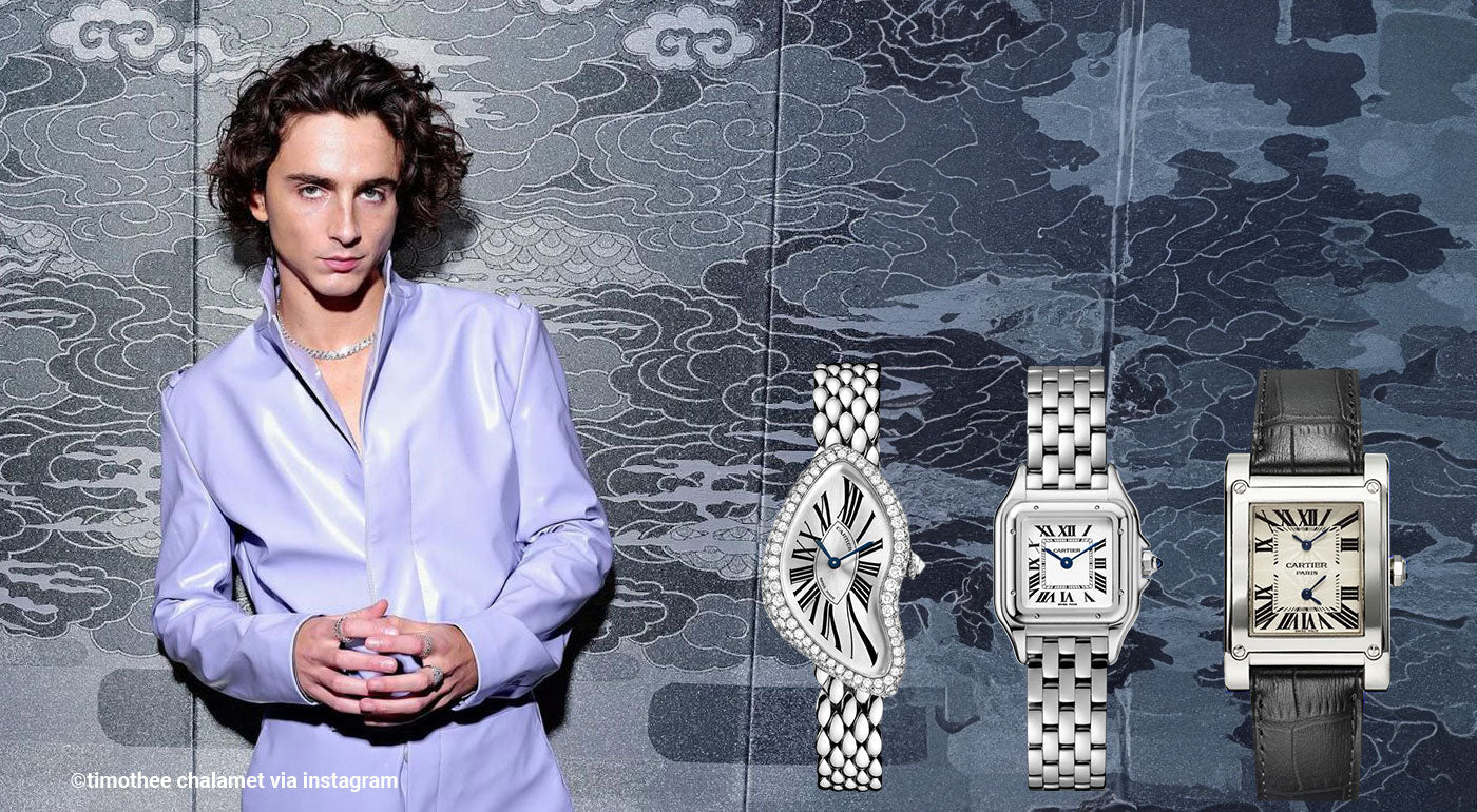 Timothee Chalamet Watch